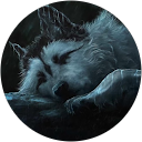wolf henriquez profile picture