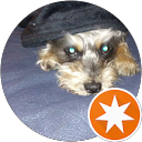 Diane Derobbio profile picture