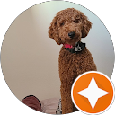 Max Miller profile picture