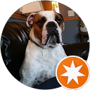 Robert Deleo profile picture
